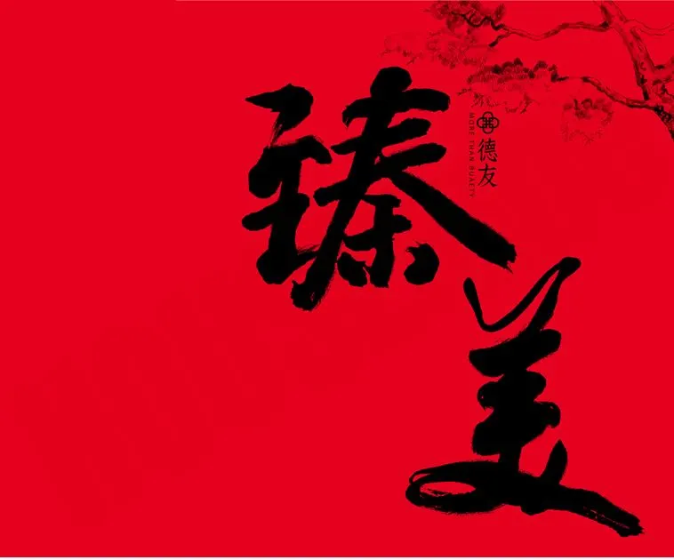 德友臻美建案圖輯 12